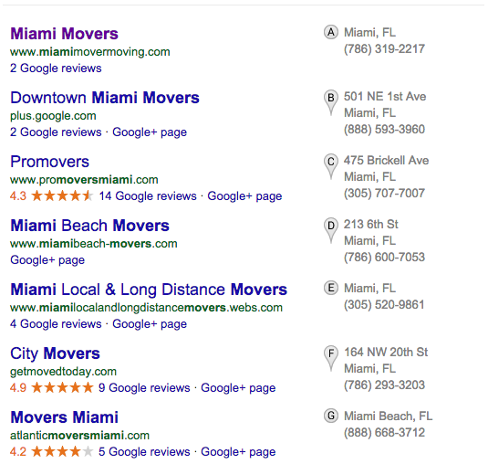Miami Movers Pigeon